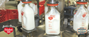 lamers dairy milk plant production in glass bottles