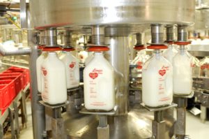 lamers dairy milk plant production in glass bottles