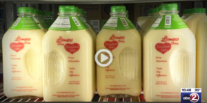 WBAY Eggnog at Lamers Dairy story